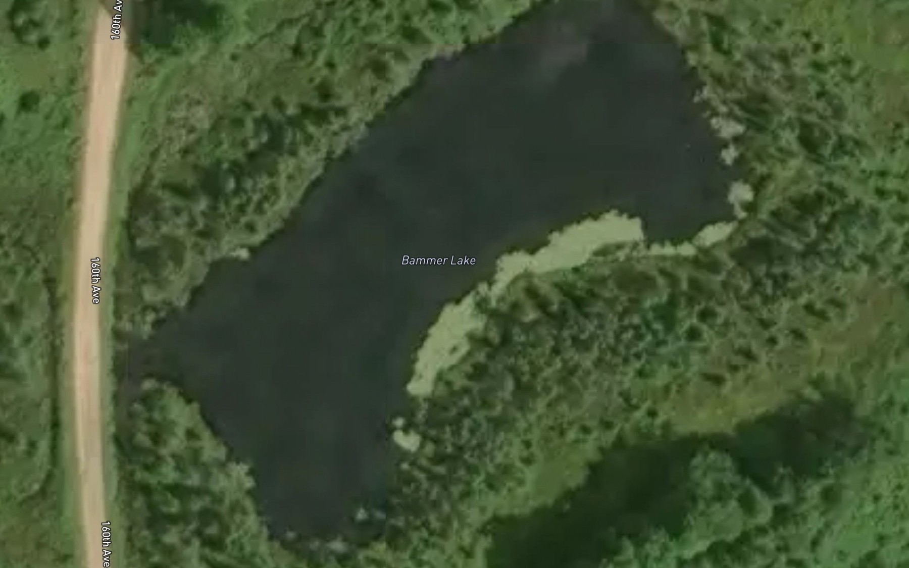 Satellite map of the Bammer Lake