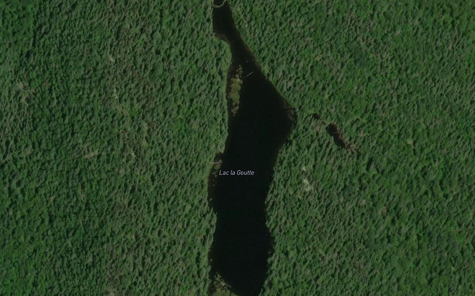 Satellite map of the Lac la Goutte