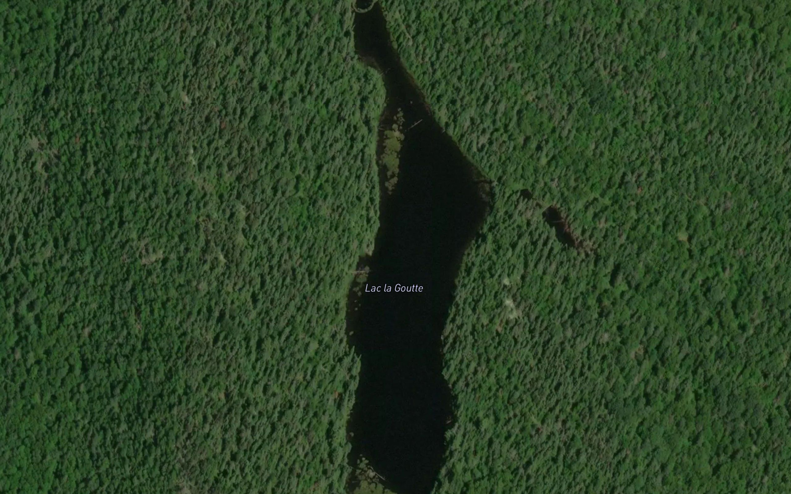 Lac la Goutte