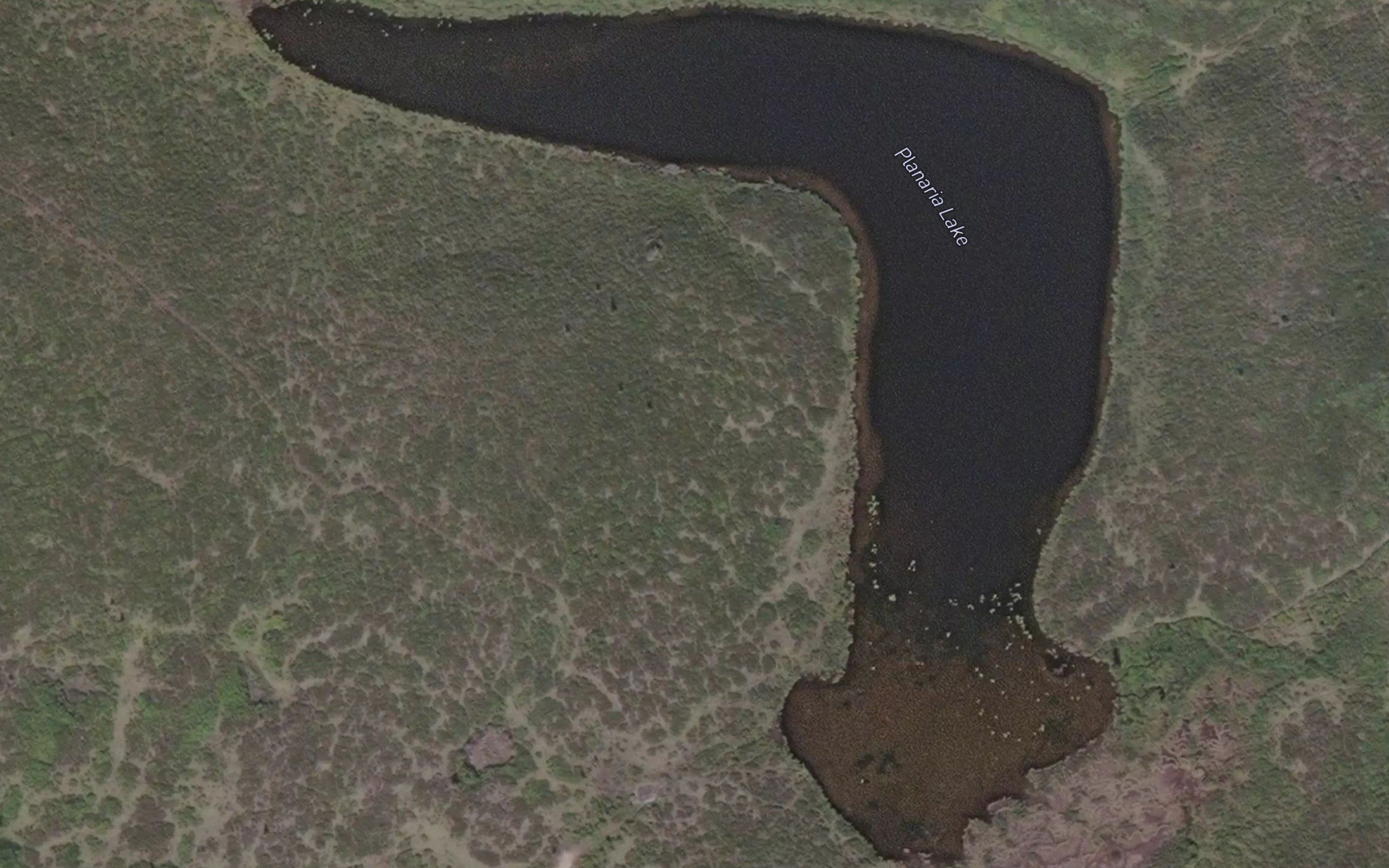 Planaria Lake