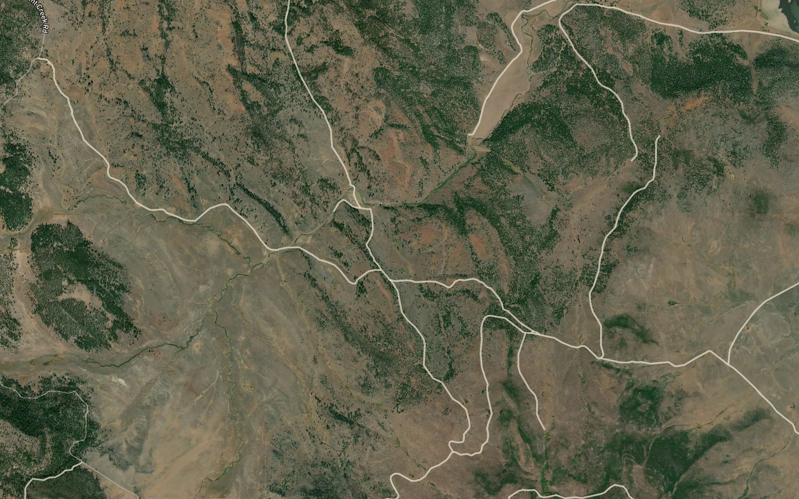 Kerman Spring