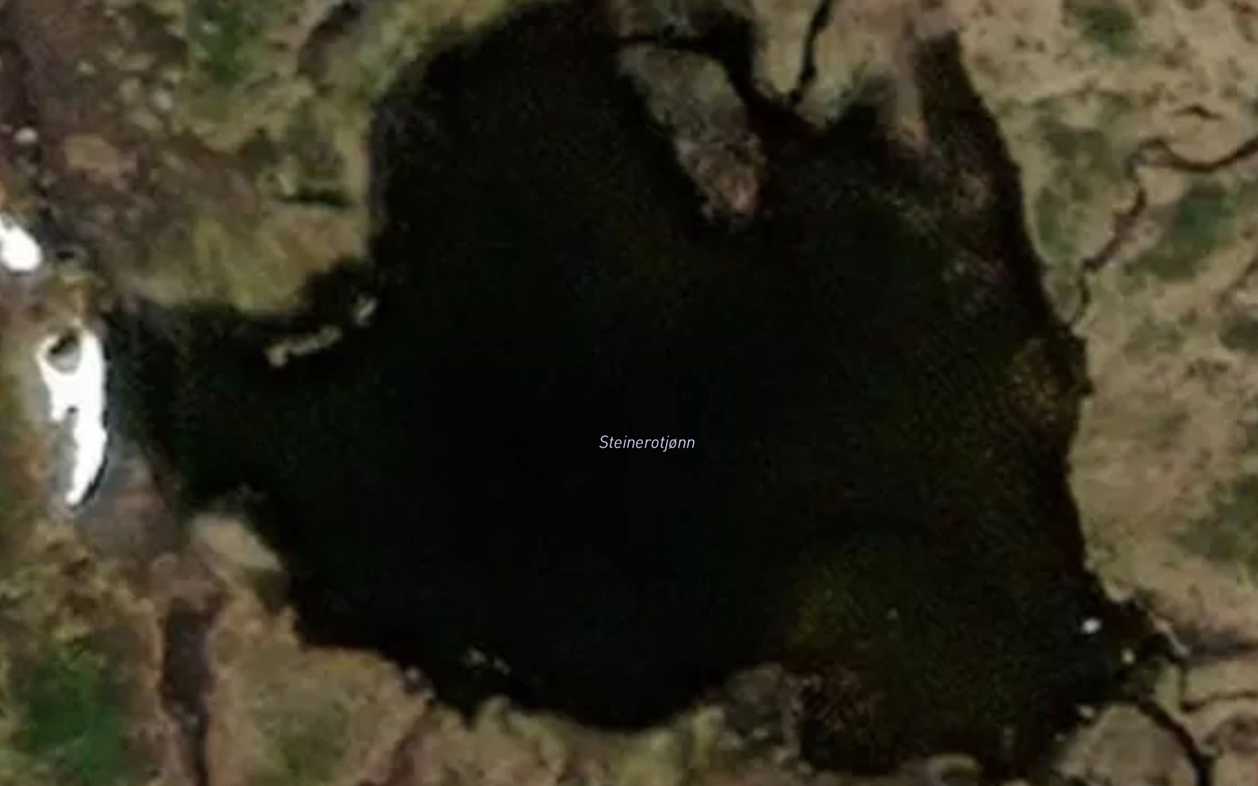 Steinerotjorn
