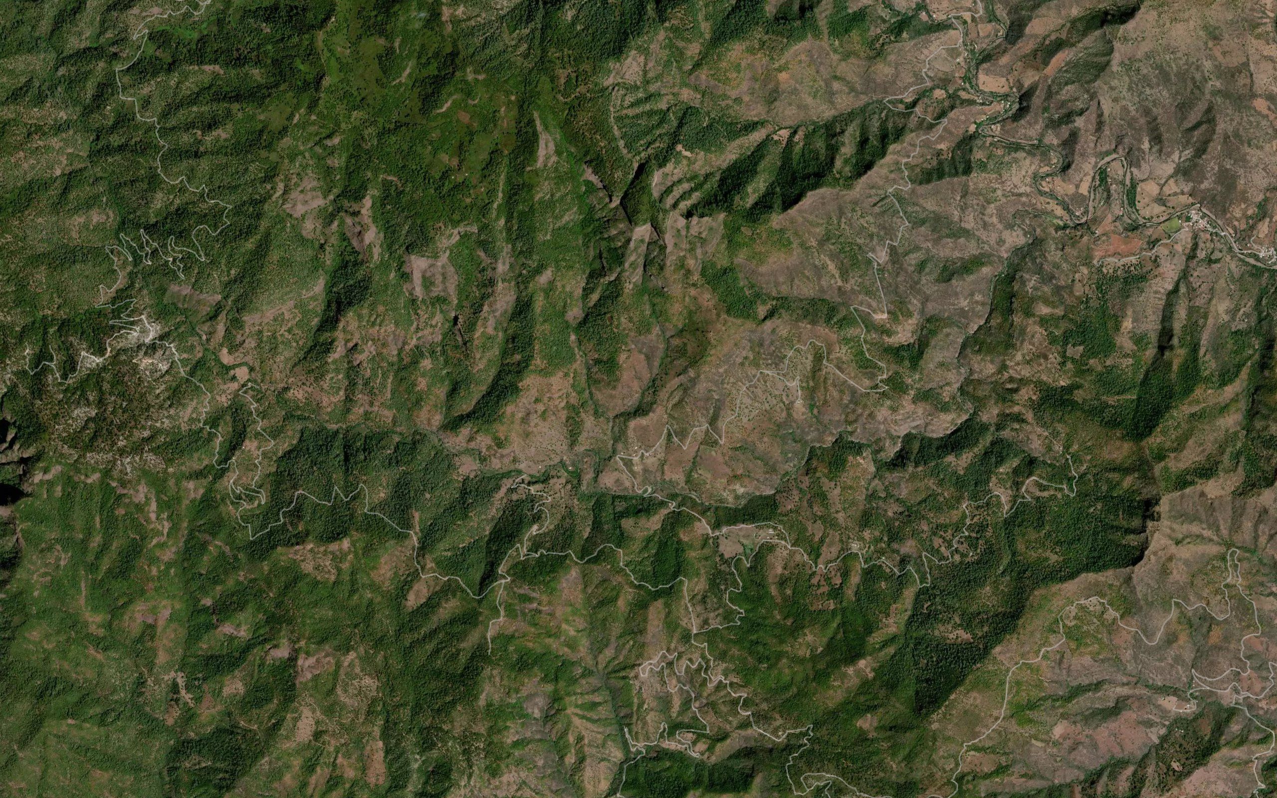 Barranca El Carricito