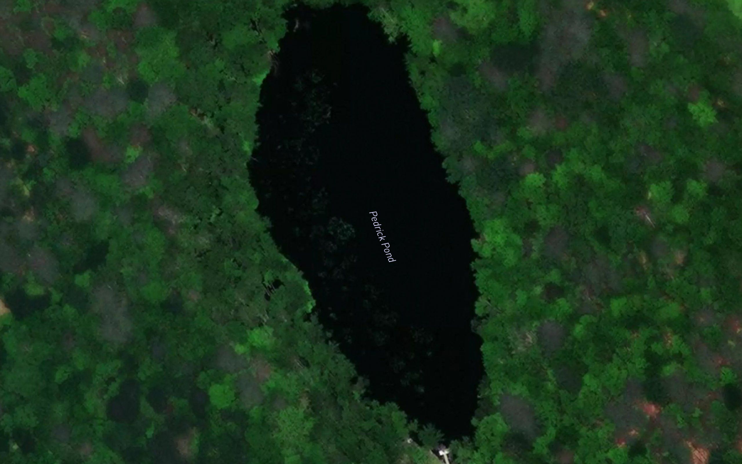 Pedrick Pond