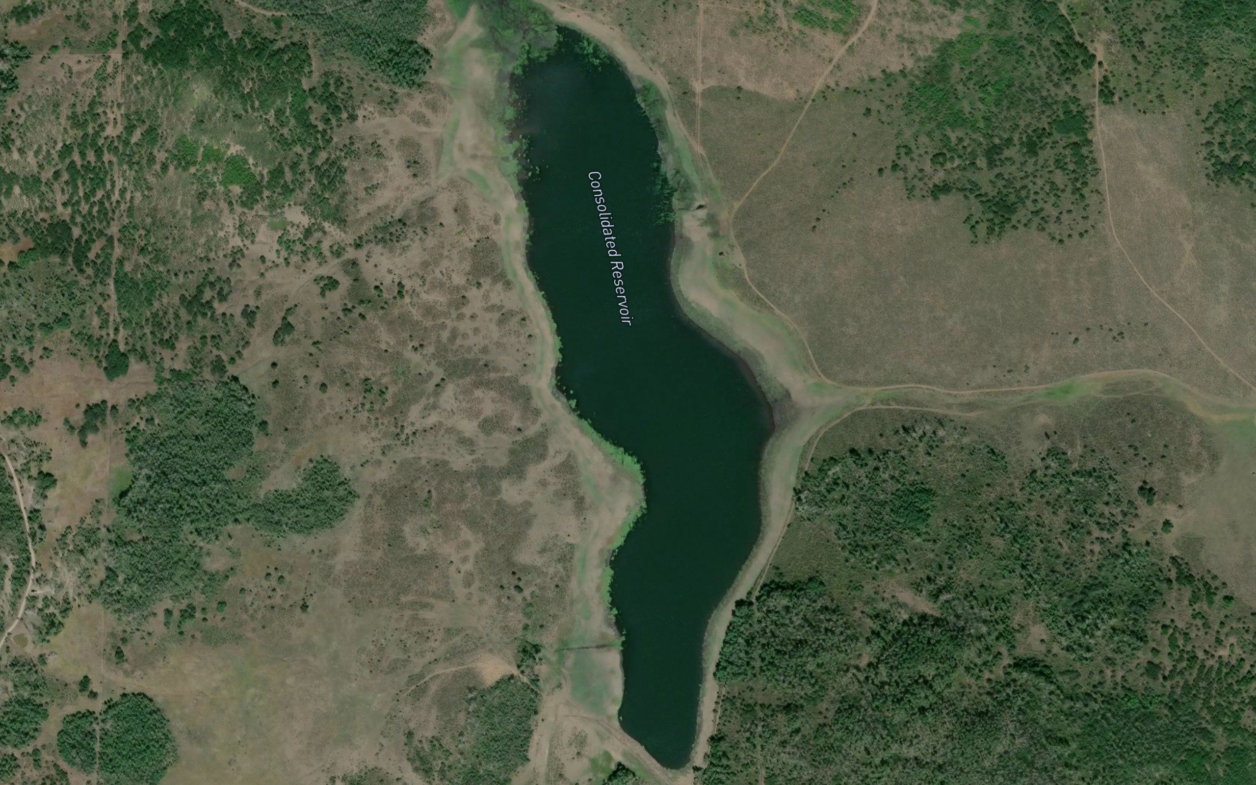 Consolidated Reservoir