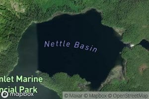 Nettle Basin