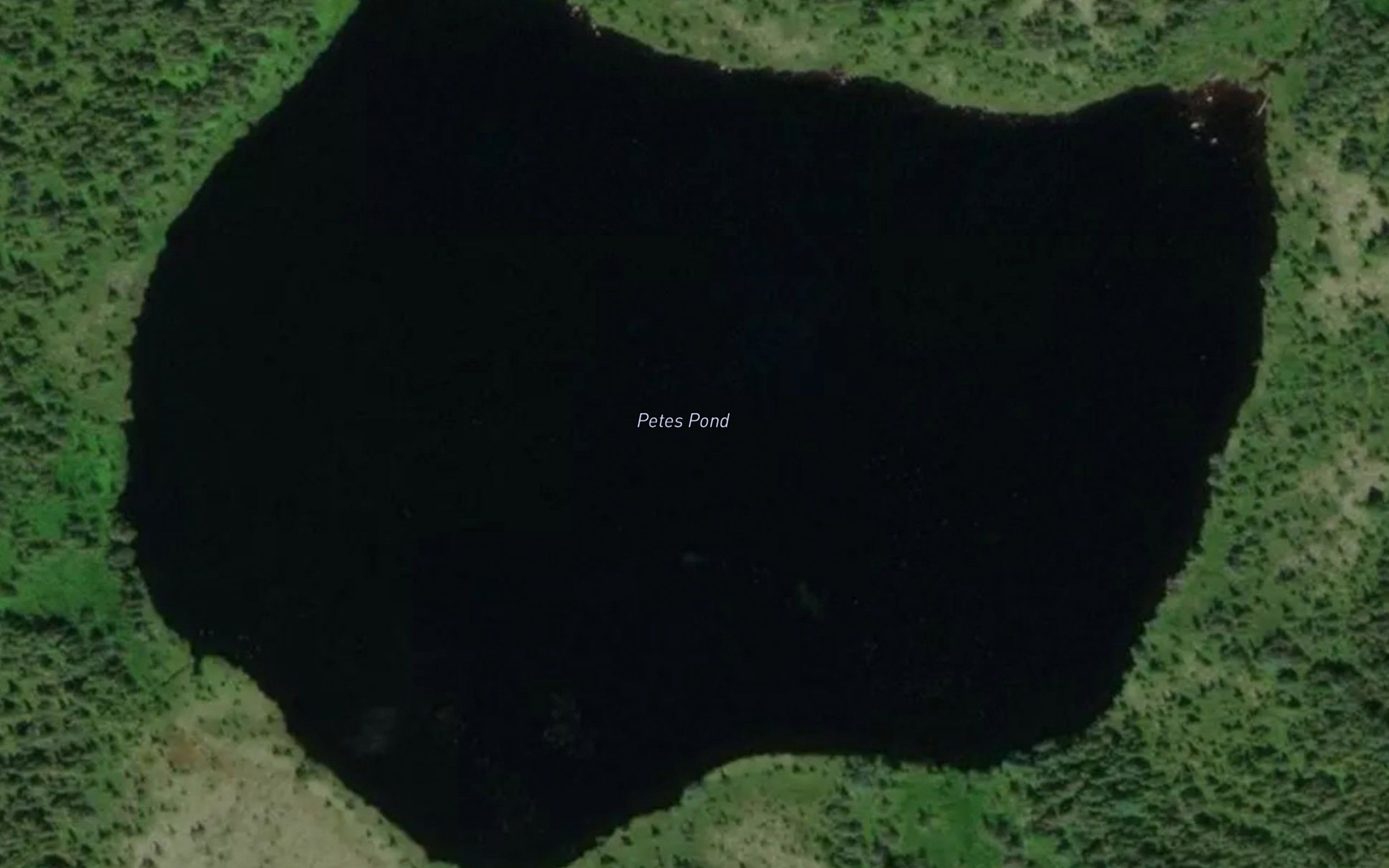 Petes Pond