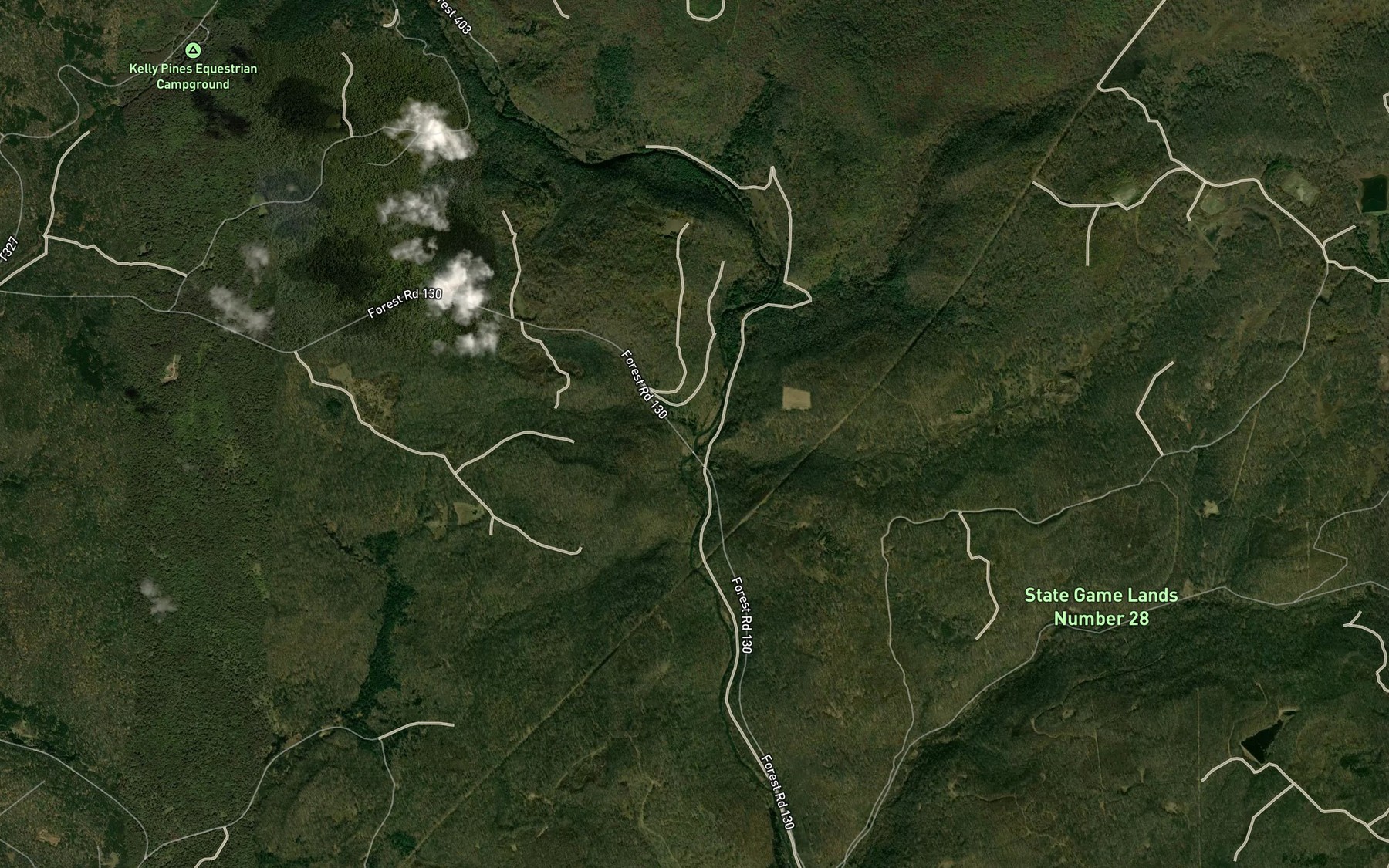 Satellite map of the Steep Run