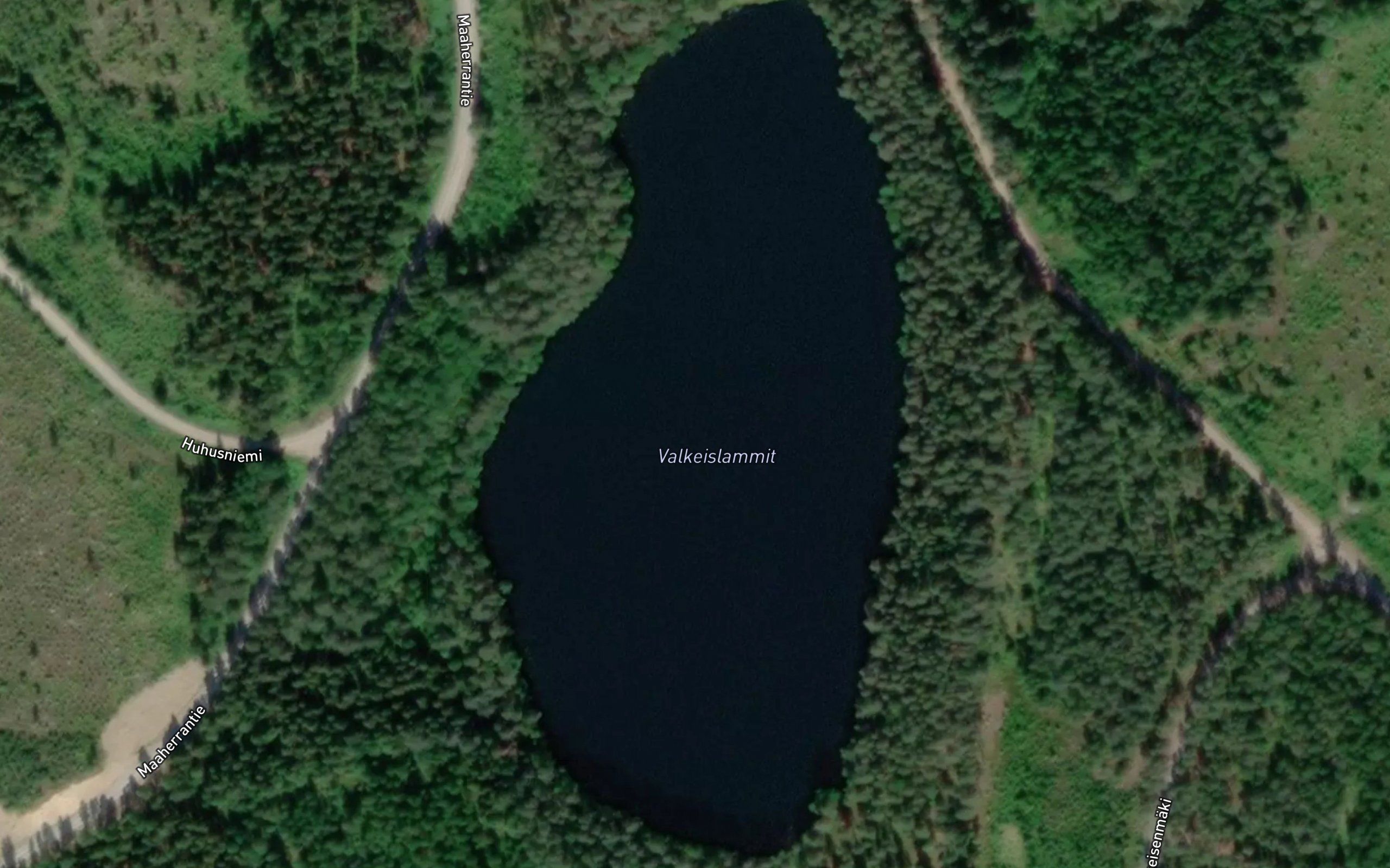 Valkeislammit