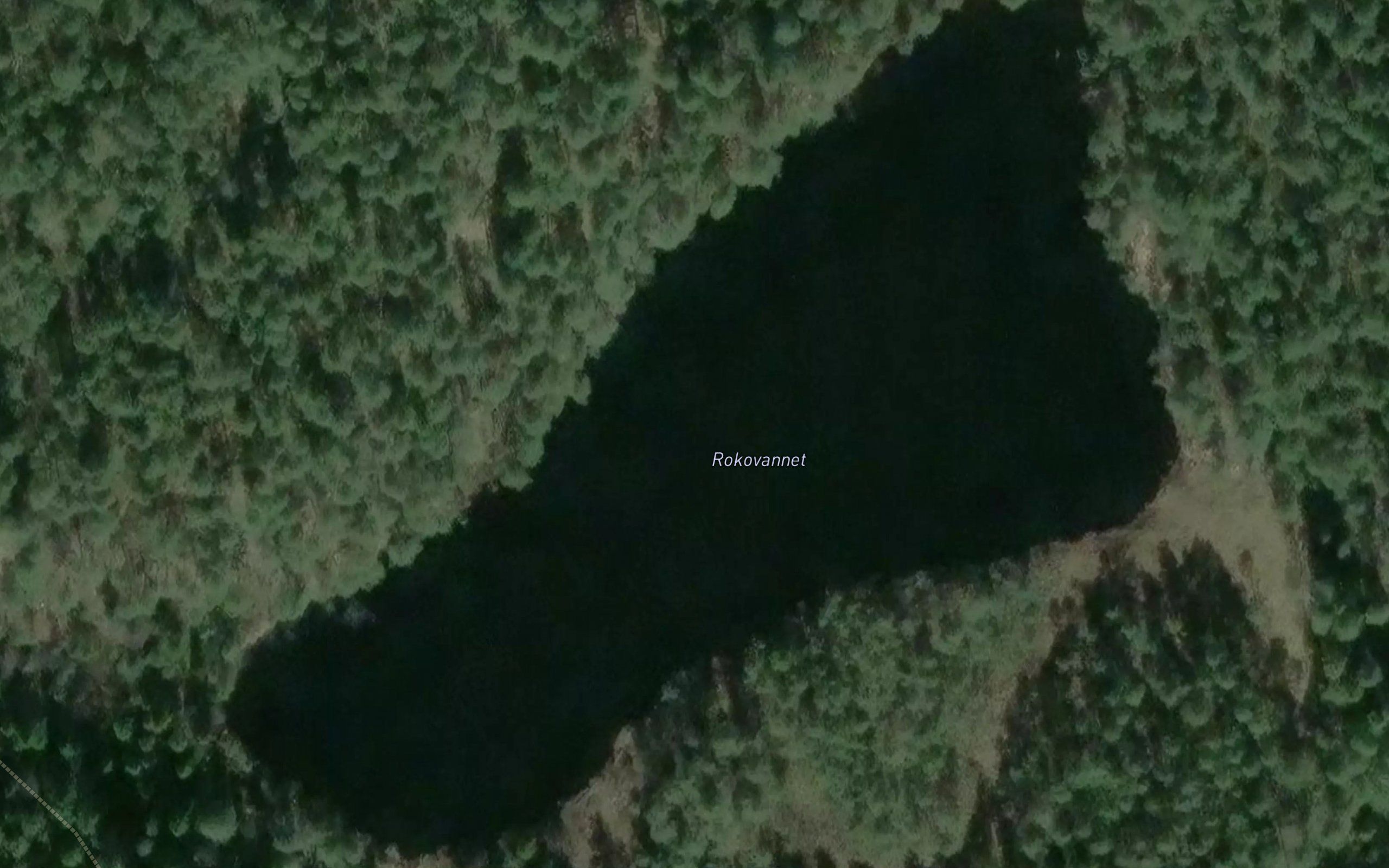 Rokovannet