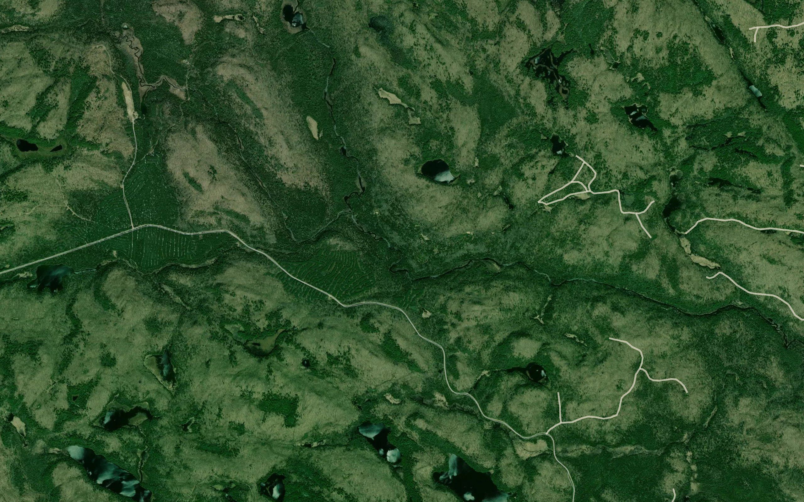 The Forks