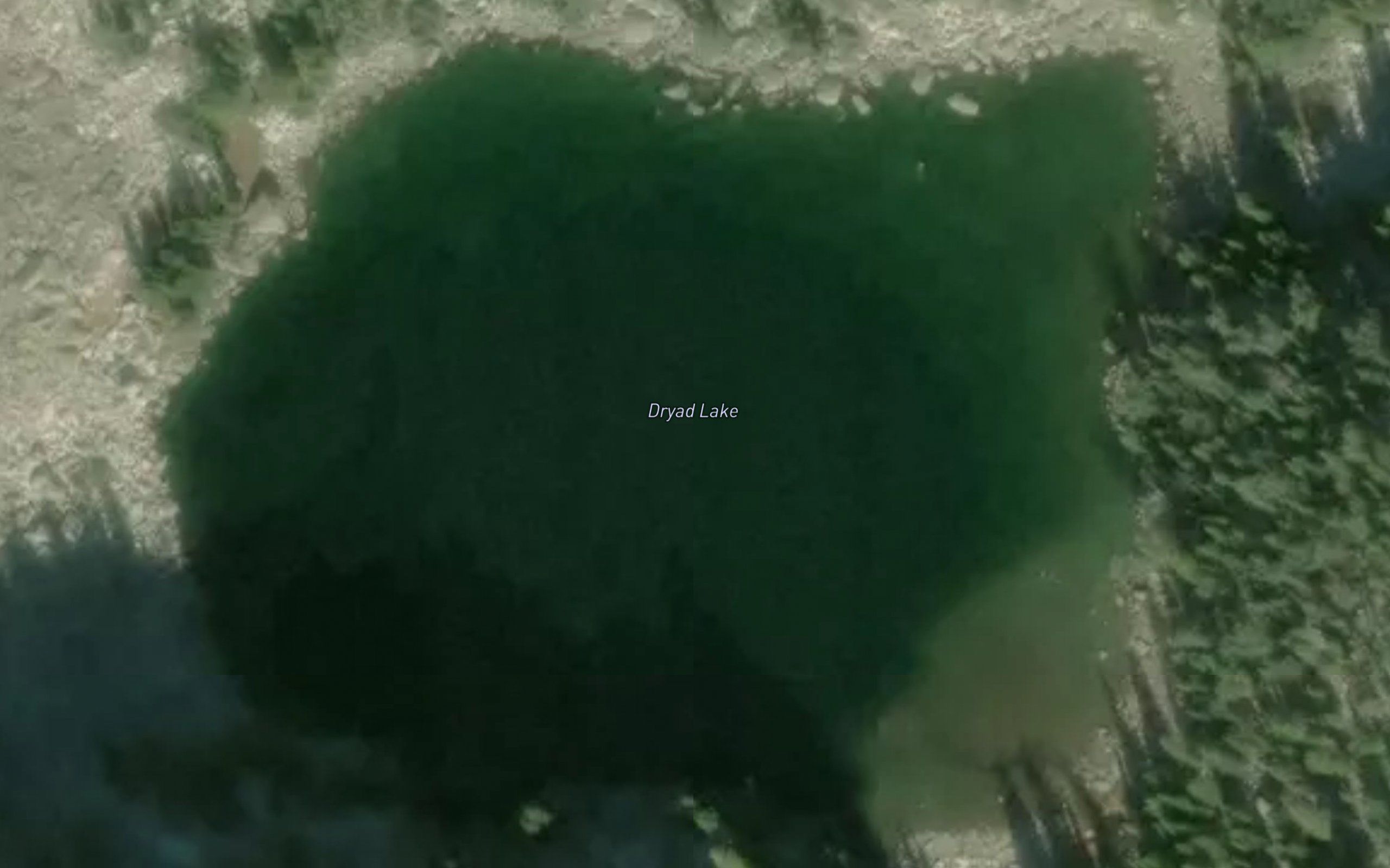 Dryad Lake