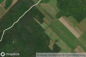 Branche Jacob-Cossette