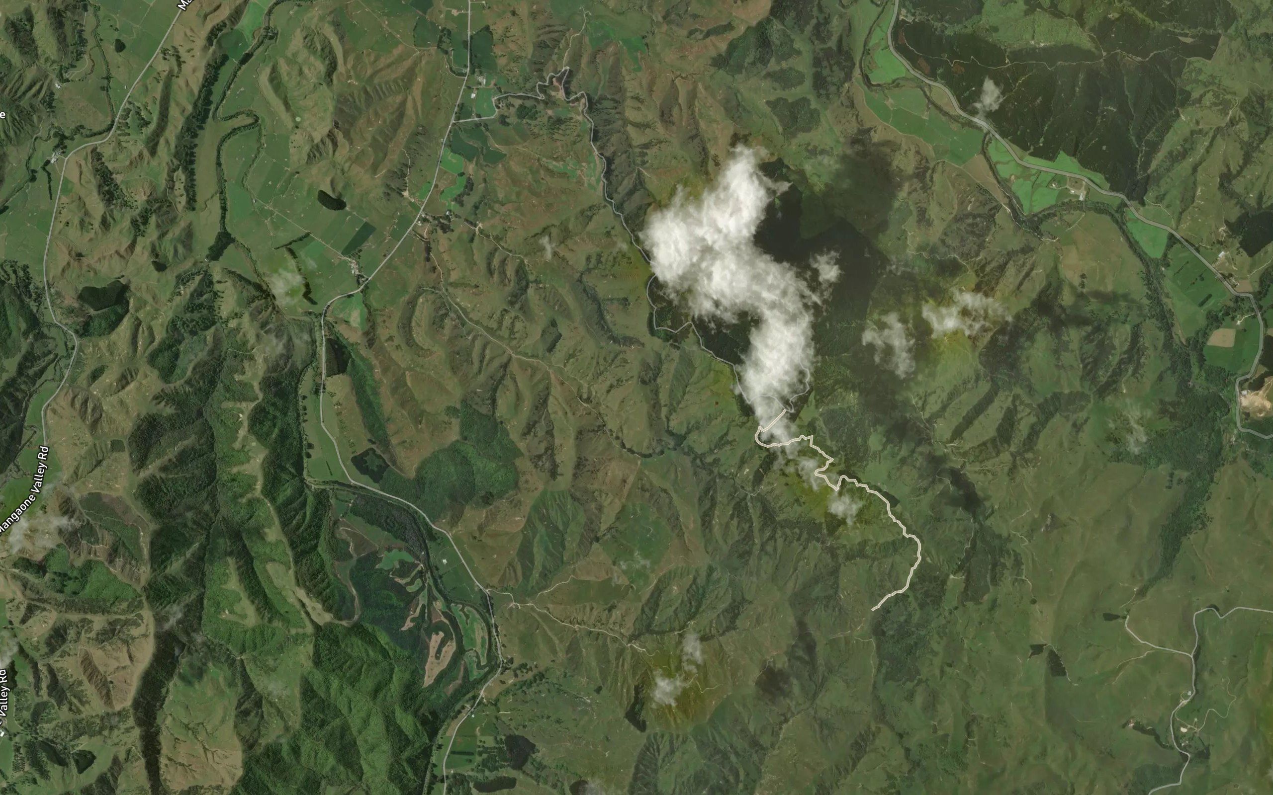 Makahikatea Creek