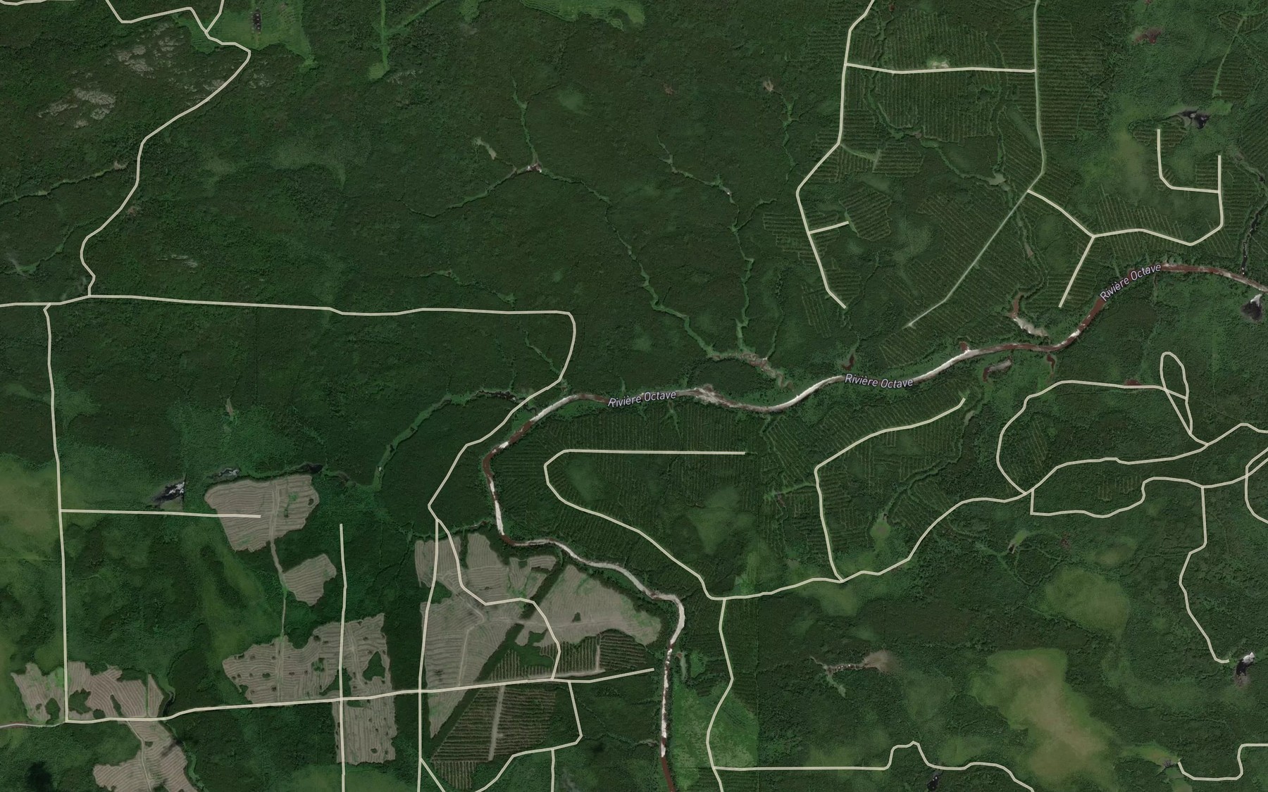 Satellite map of the Rapide Mitcikan