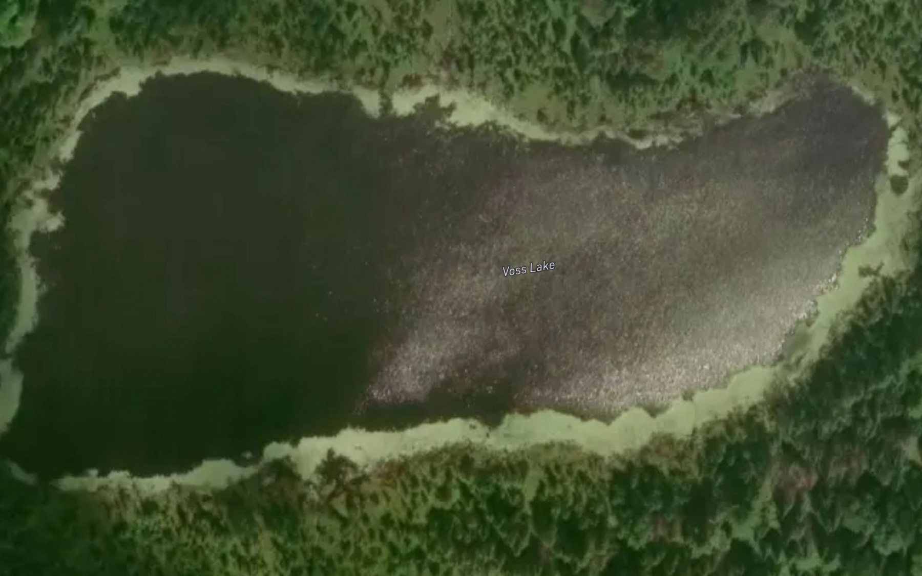 Satellite map of the Voss Lake