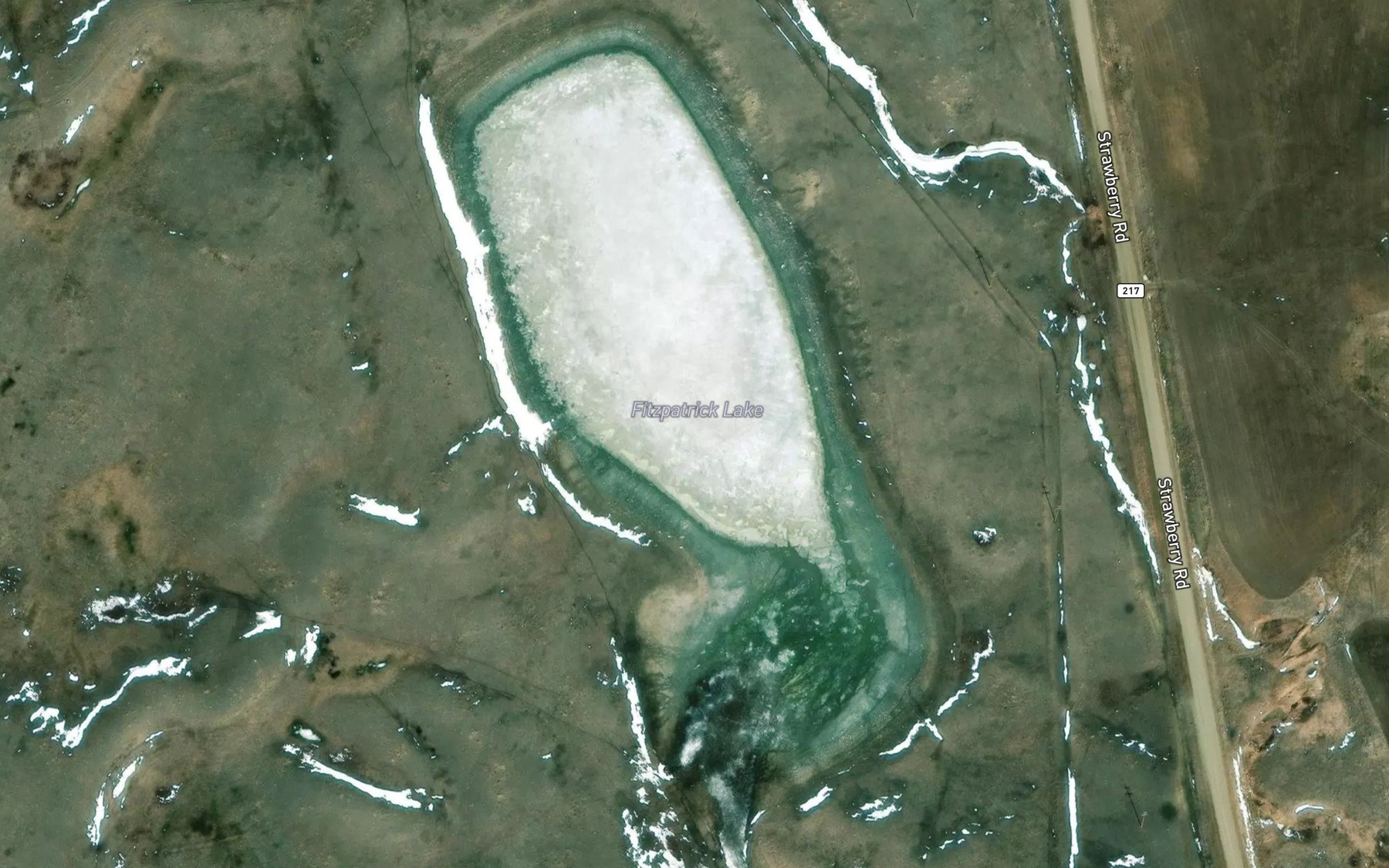 Satellite map of the Fitzpatrick Lake