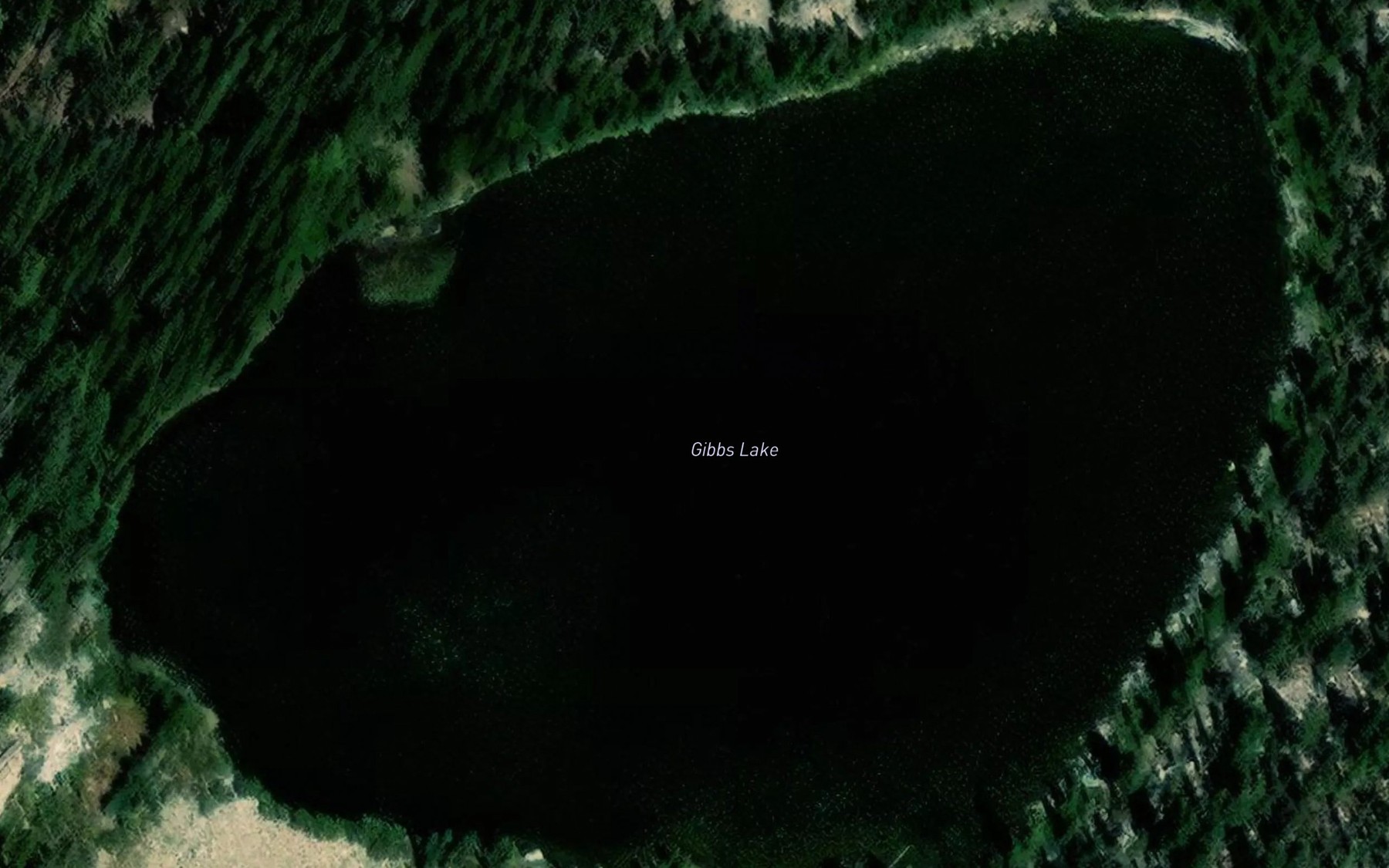 Satellite map of the Gibbs Lake