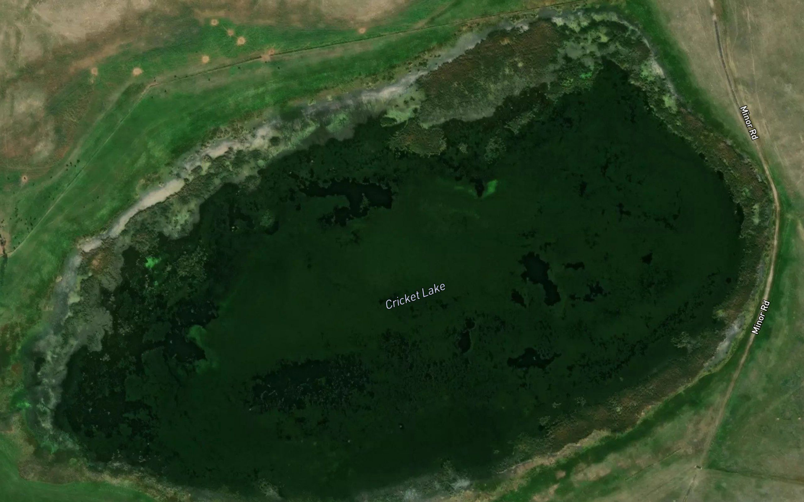 Cricket Lake