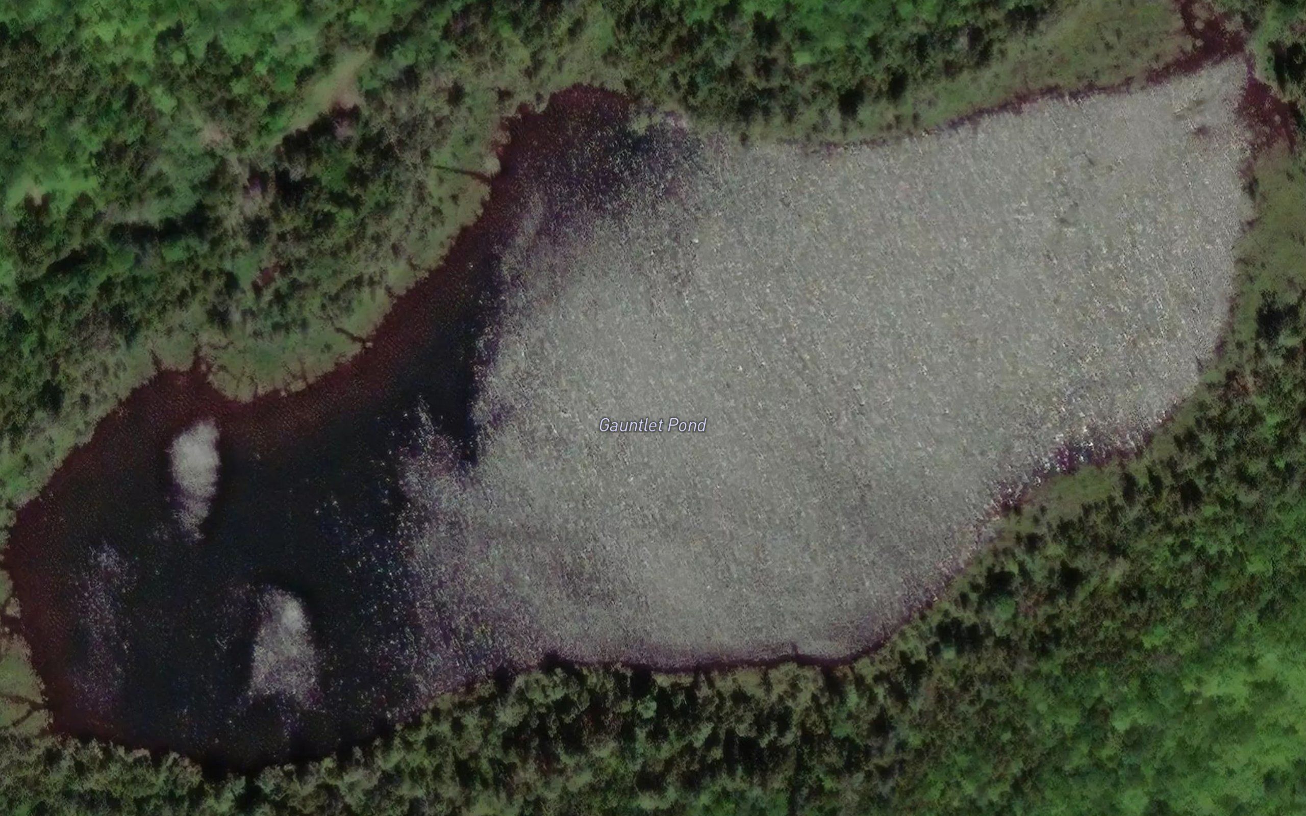 Gauntlet Pond