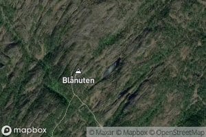 Blanutetjorn