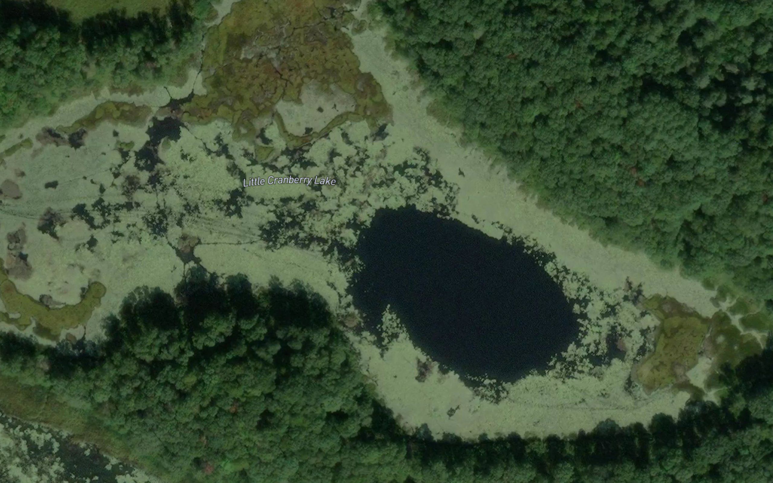 Little Cranberry Lake