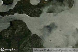 Satellite map of the Laing Lake