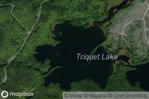 Triquet Lake