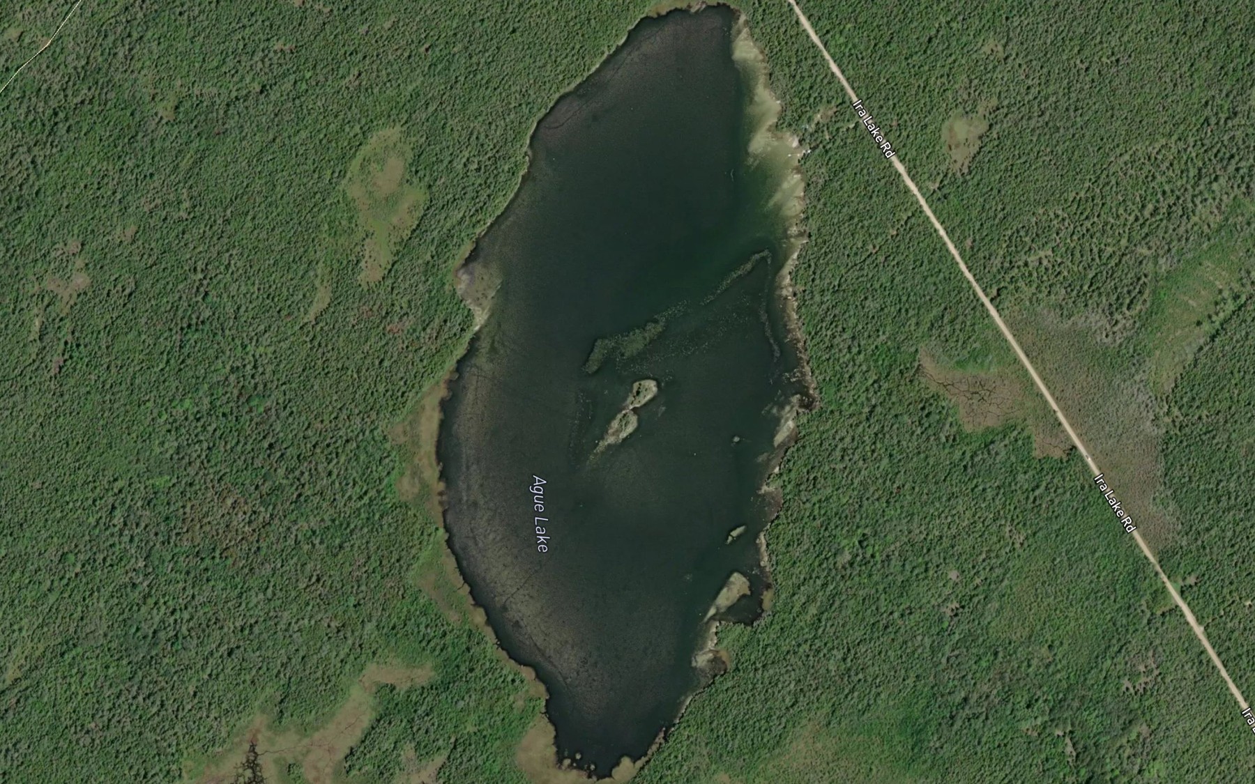 Satellite map of the Ague Lake