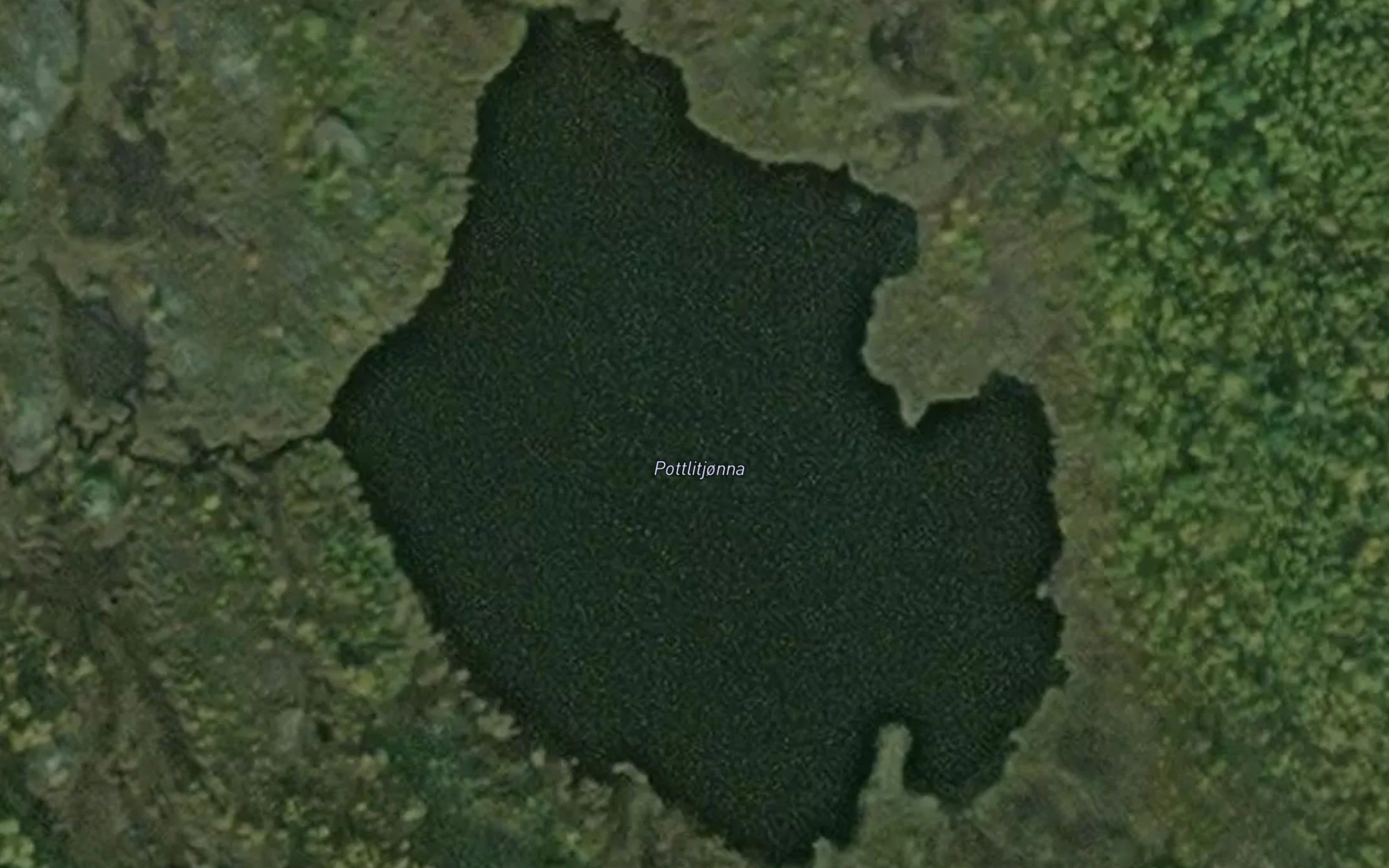 Pottlitjorna