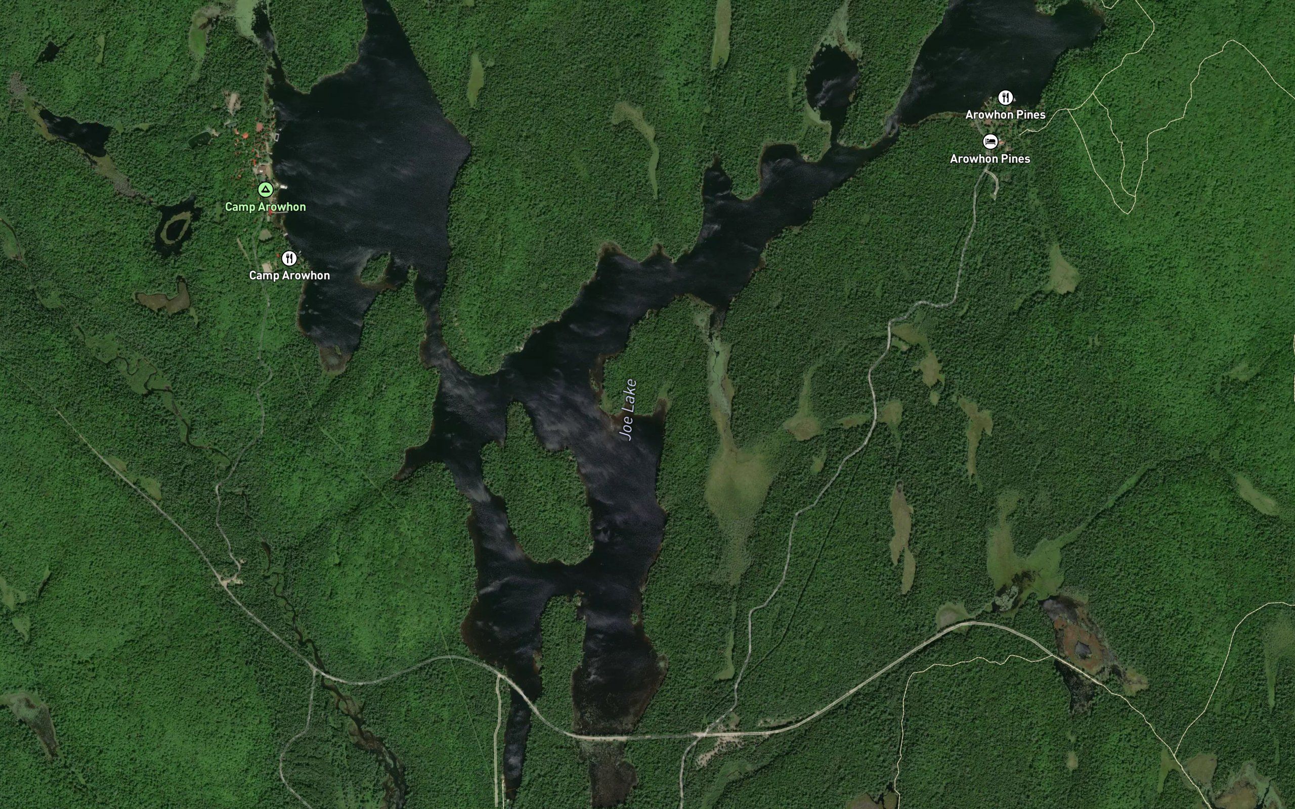Joe Lake