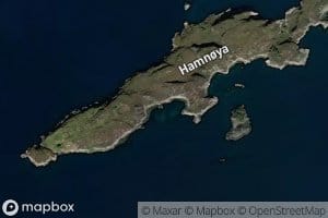 Kjelvika