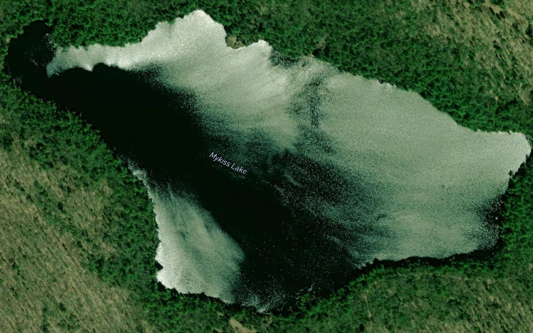 Satellite map of the Mykiss Lake