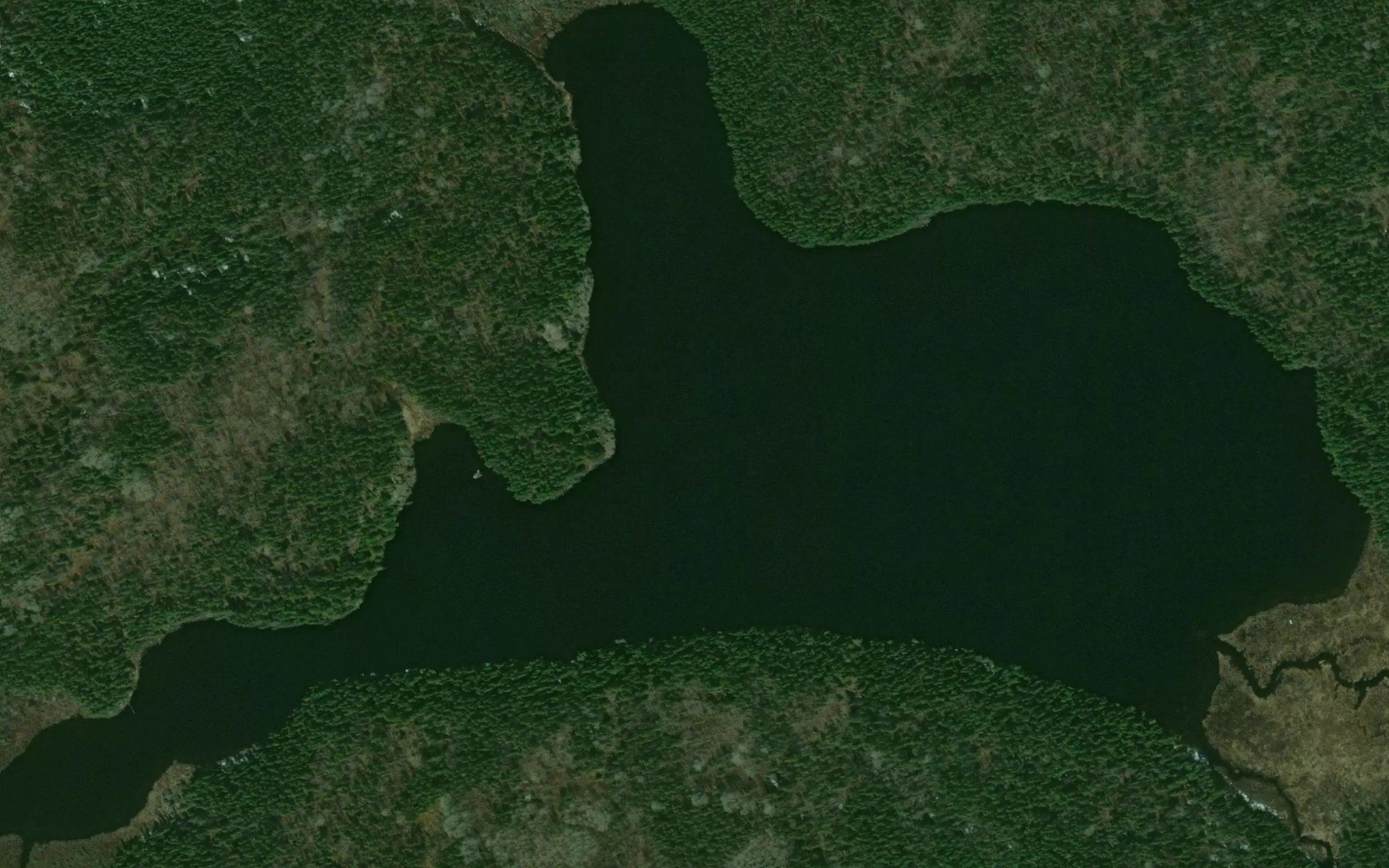 Connaught Lake