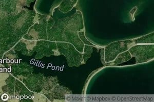 Gillis Pond