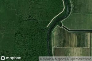 Petticoat Bayou