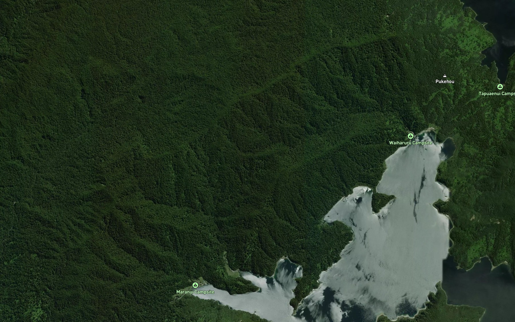 Satellite map of the Waitotara Stream