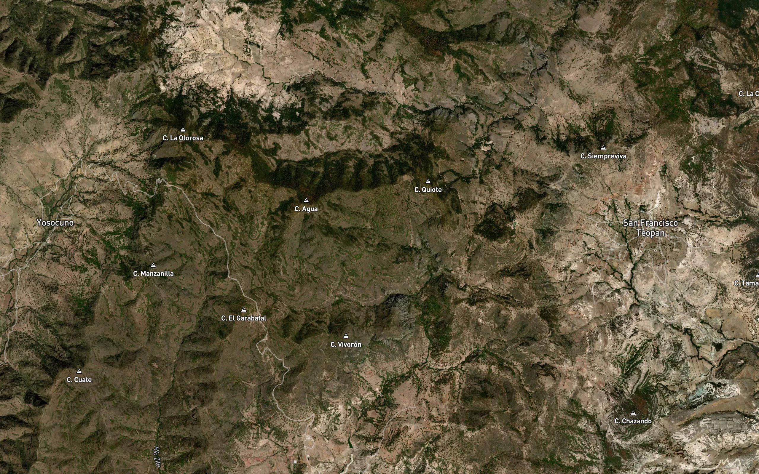 Acahual