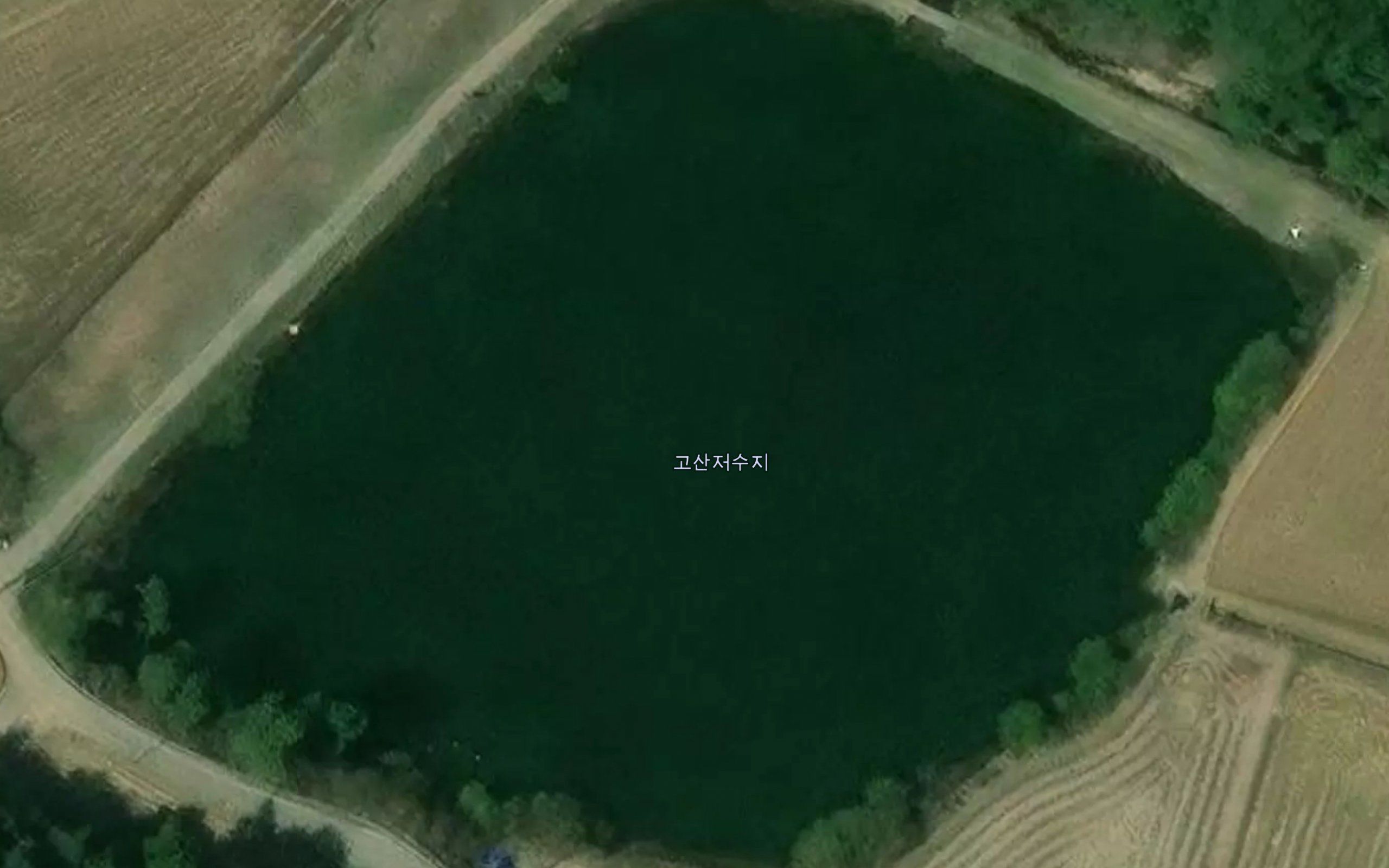 Gosanje