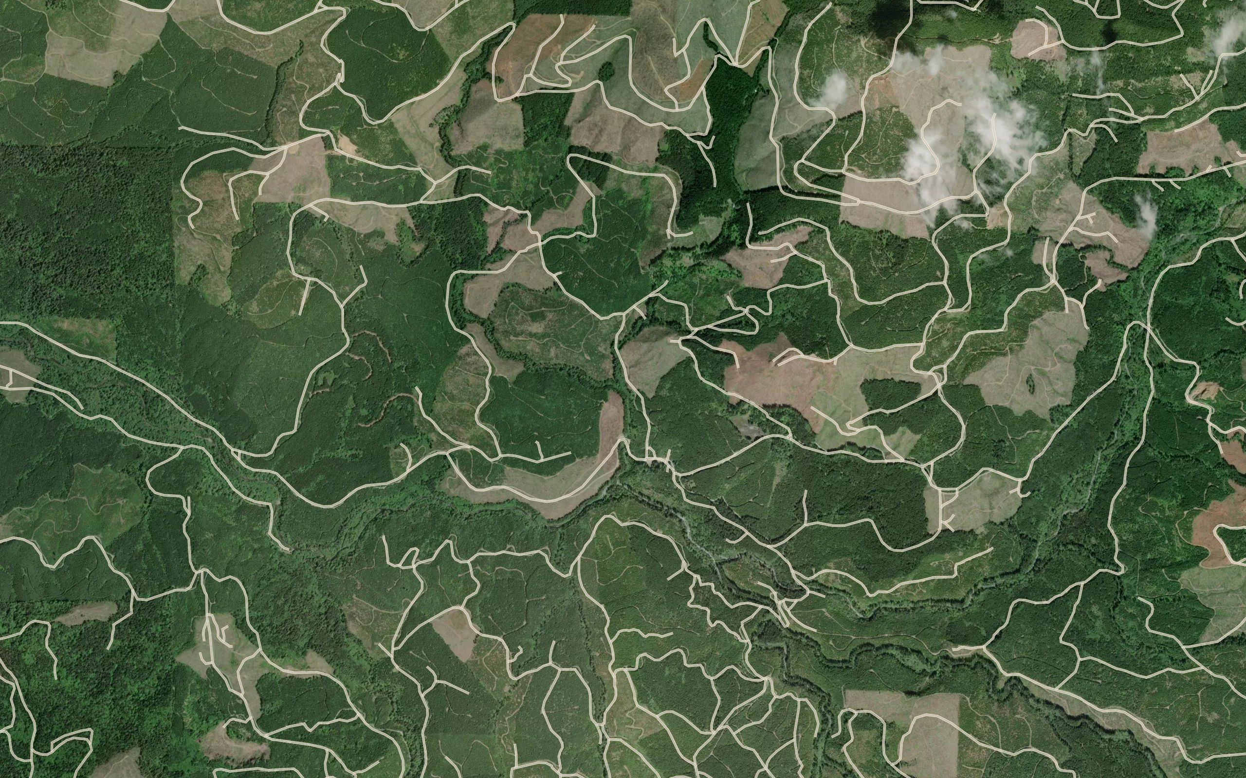 West Fork Rock Creek