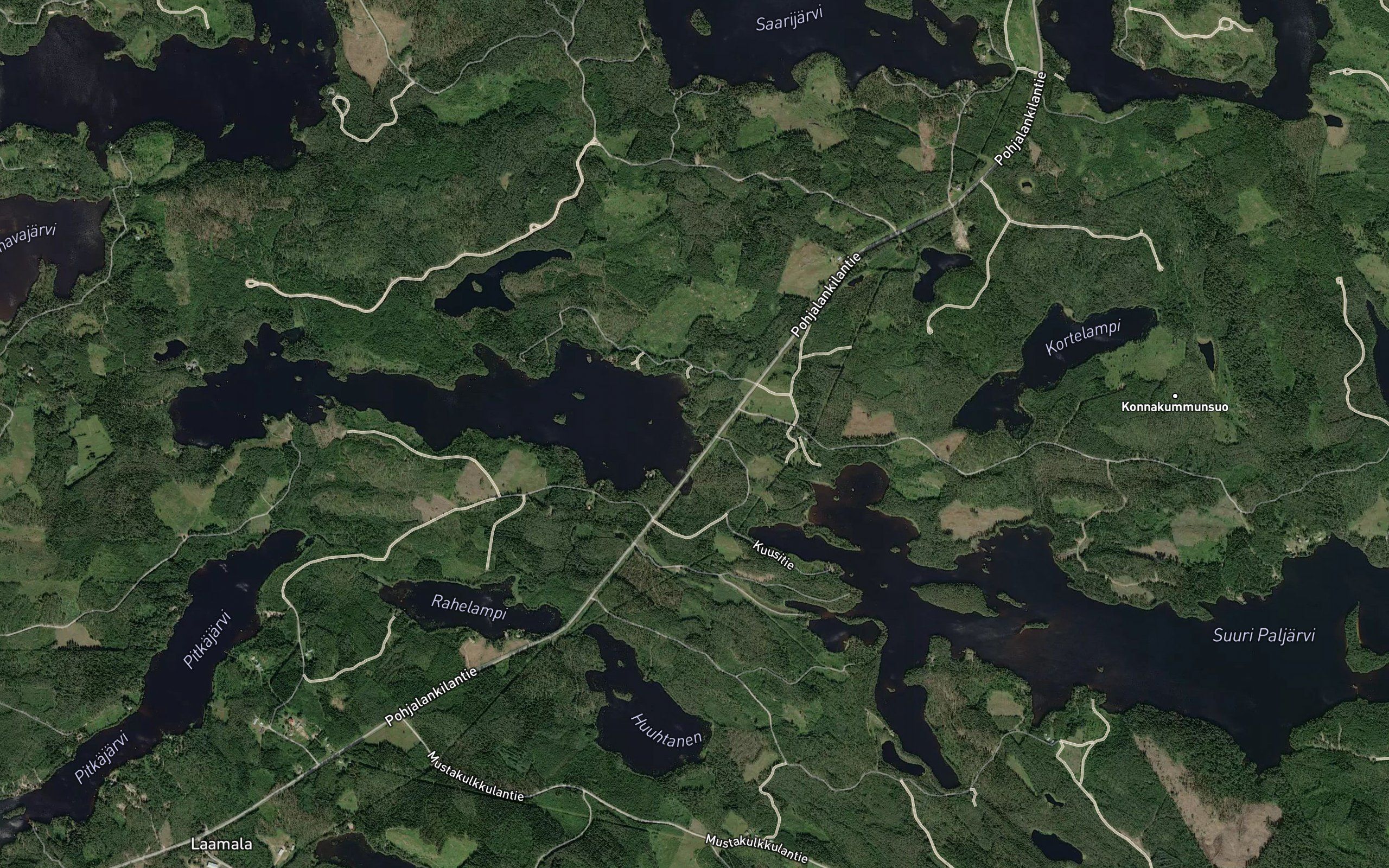 Paljoki