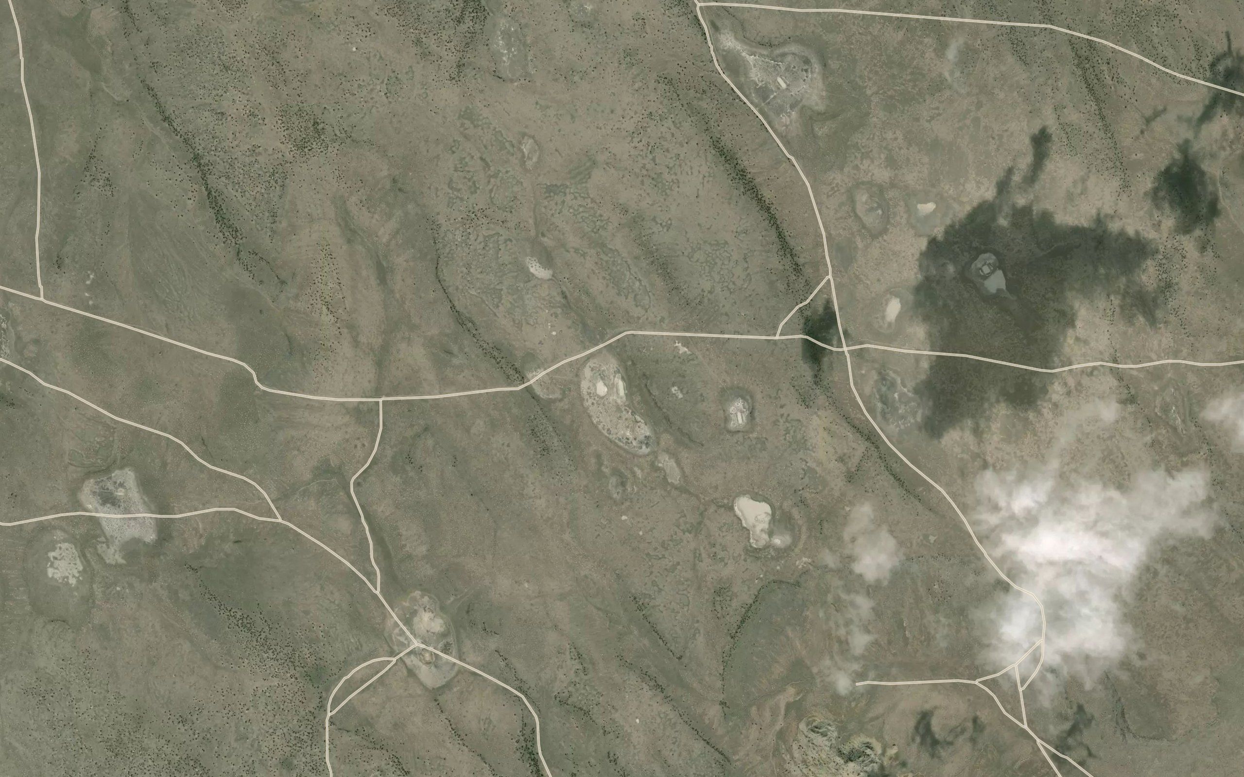 Immigrant Waterhole