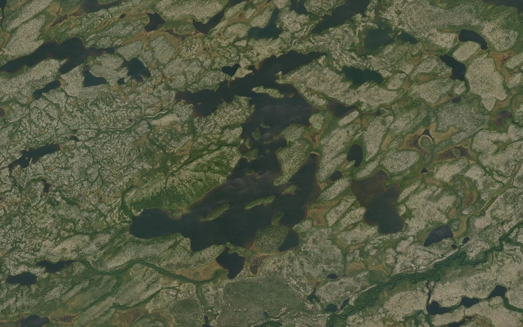 Satellite map of the Lac Aawiisaataapaasich