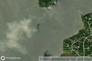 Willow Reef