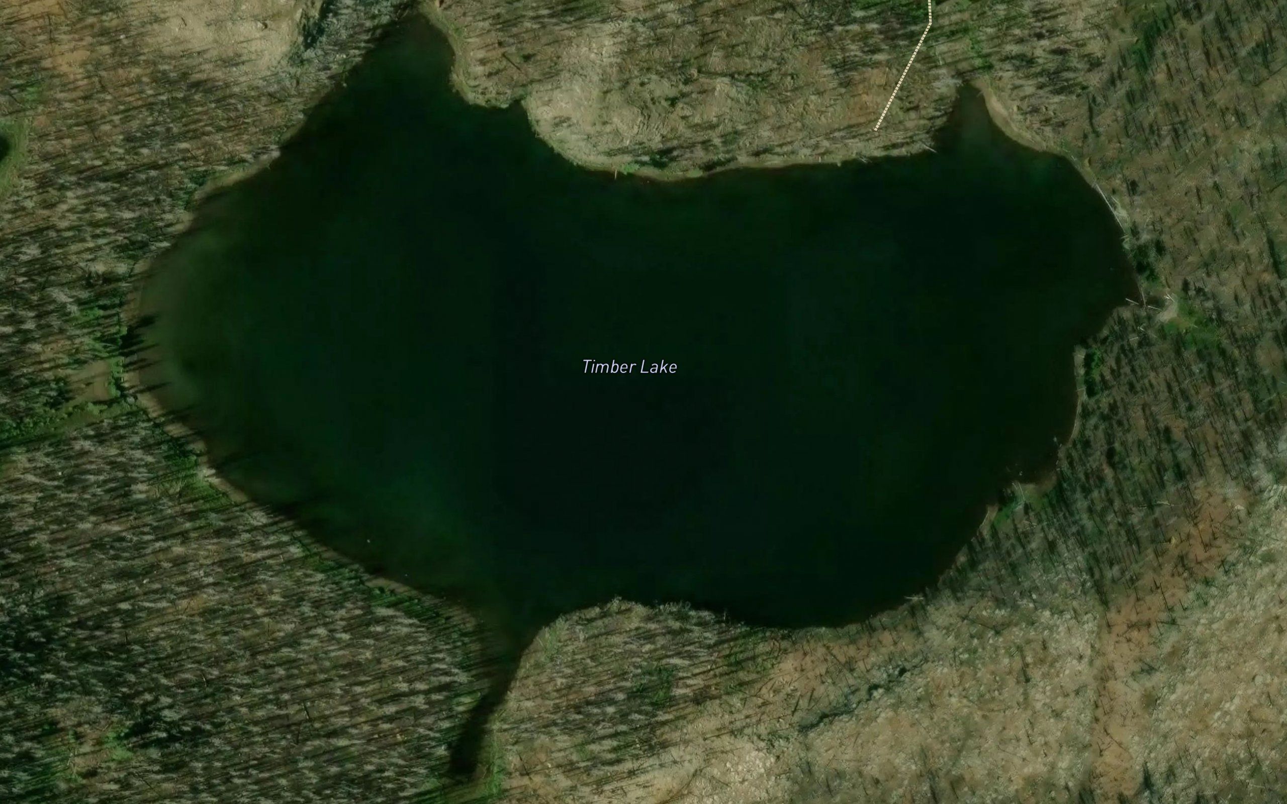 Timber Lake