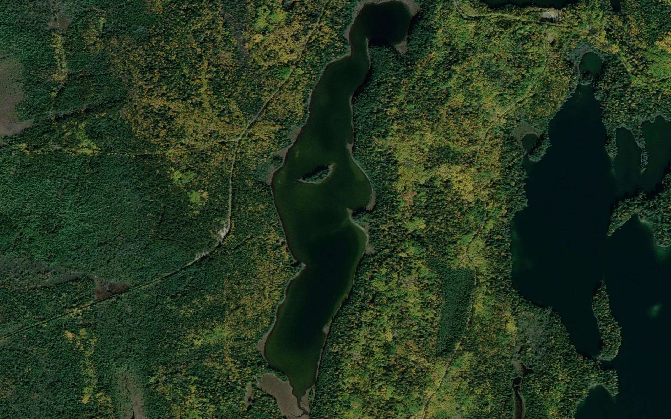 Whitesides Lake
