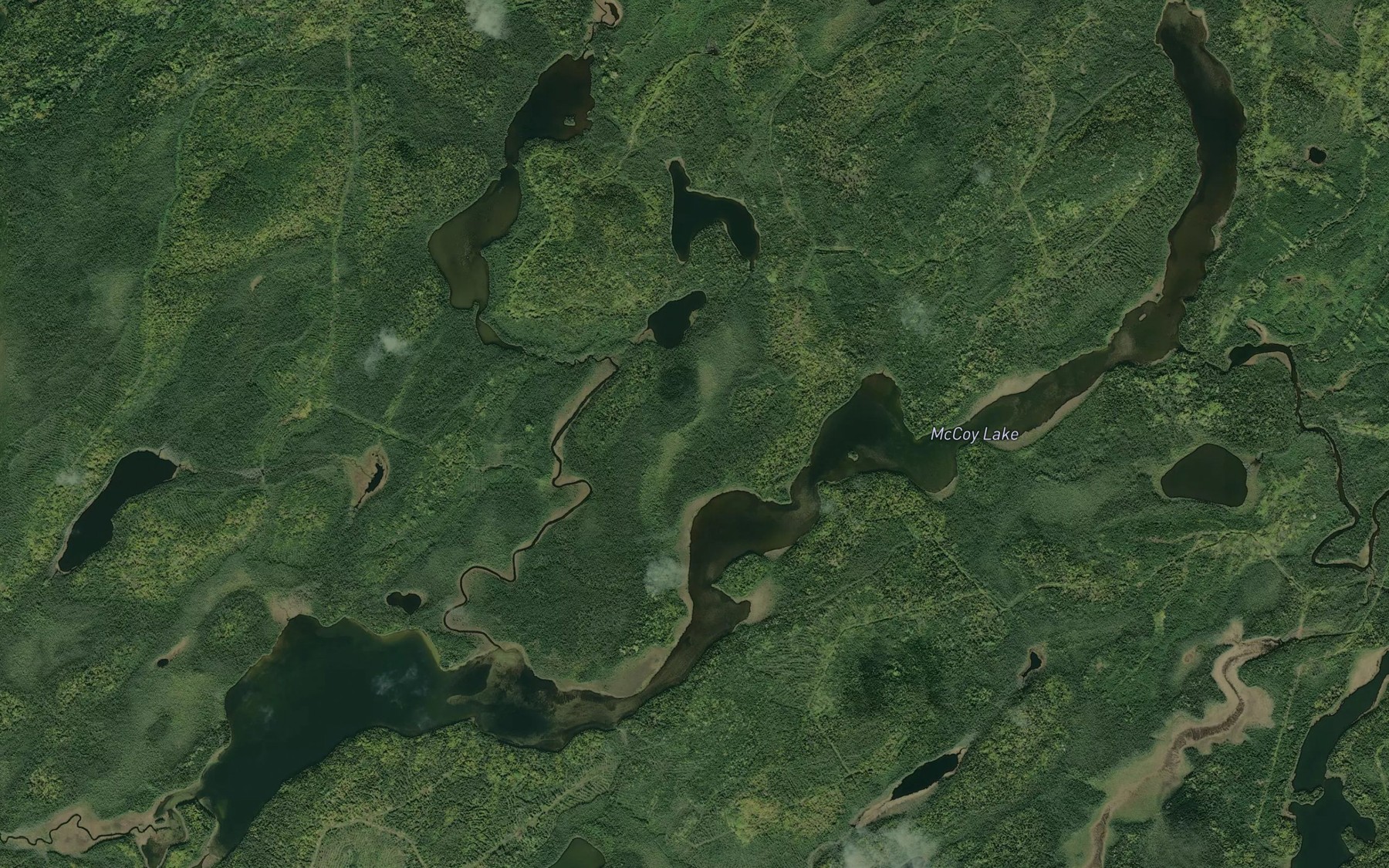 Satellite map of the McCoy Lake
