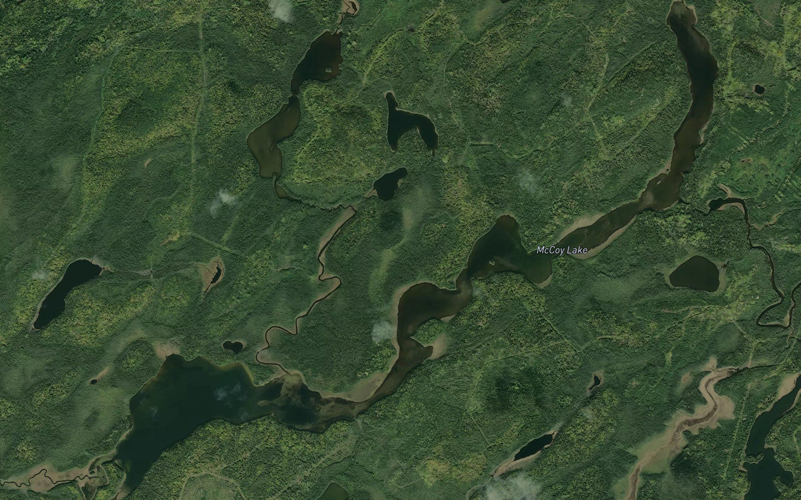 McCoy Lake