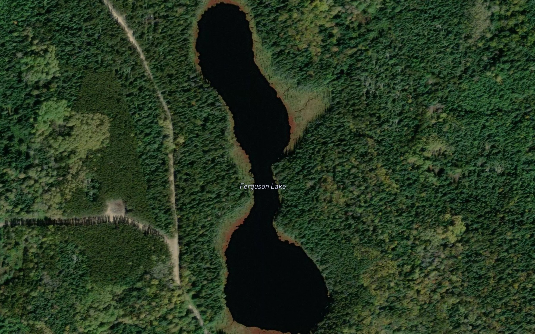 Satellite map of the Ferguson Lake