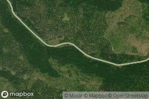 Balm of Gilead Spring